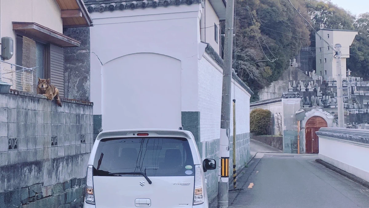 え！？どうやってそこに登ったの？？猫かと思ったら犬だったｗｗ