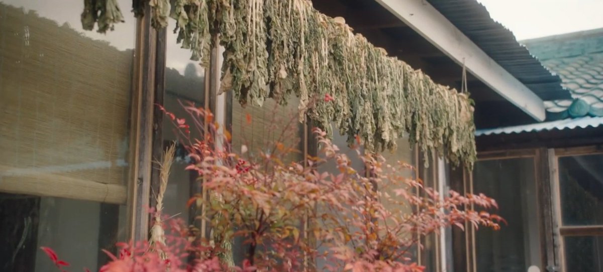 a thread of a piece of your mind picturesque shots: