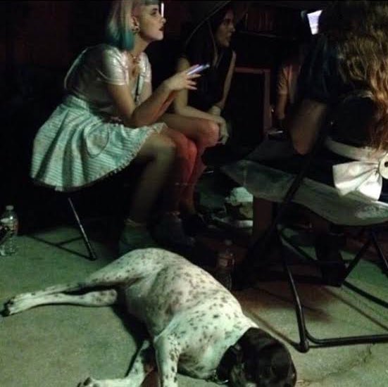 Mel with animals, a thread (some may be manips):
