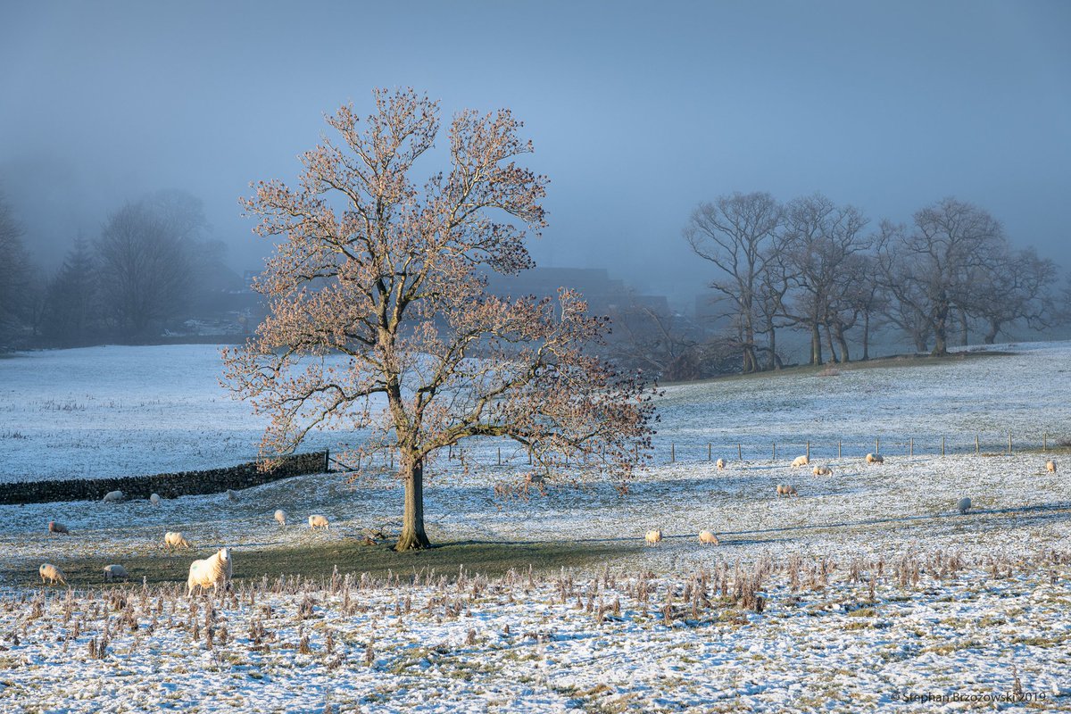 stephanbrz's tweet image. On the edge of the fog. Kirkland on a winter's morning last year.#EastFellside #EdenValley #Cumbria