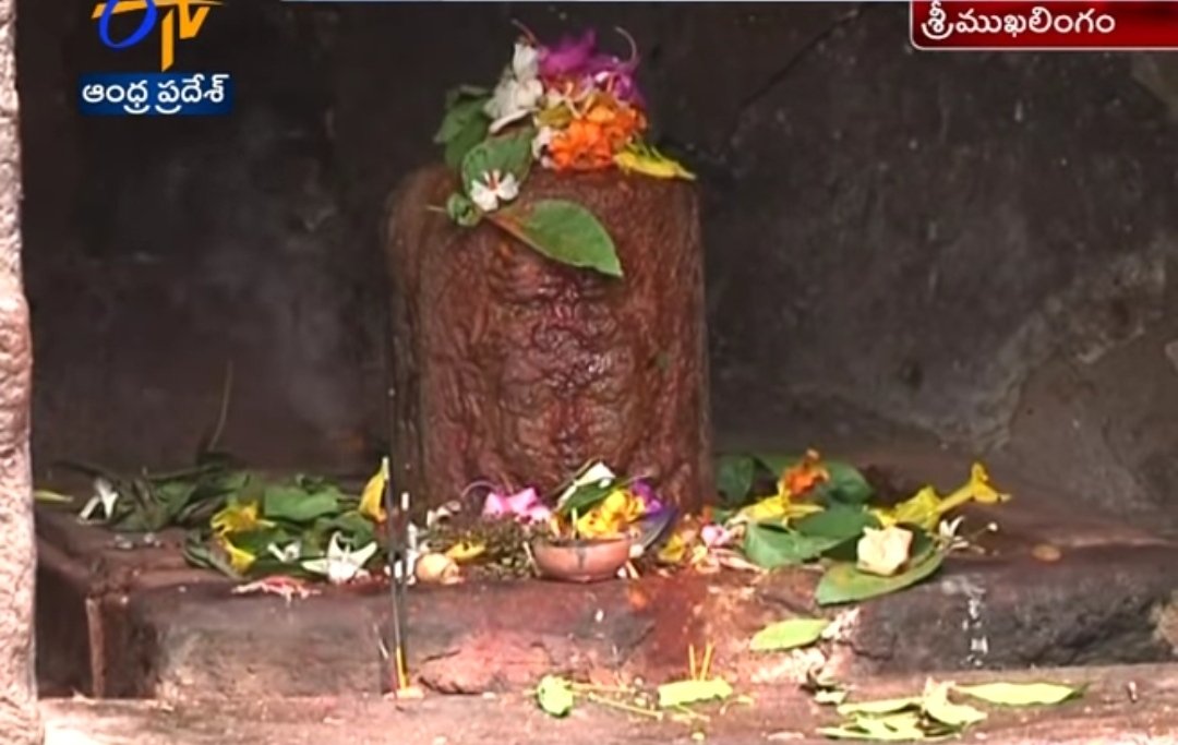 The Sri Mukhalingam Shiva temple has a unique Shiva Lingam with the face (Sri Mukham) of the Lord Shiva. Secondly, the Lingam is not of stone formation but is a Fossil of the trunk of Ippa (Madhuca) tree with a naturally carved face.  @Sanjay_Dixit  @health_z_wealth