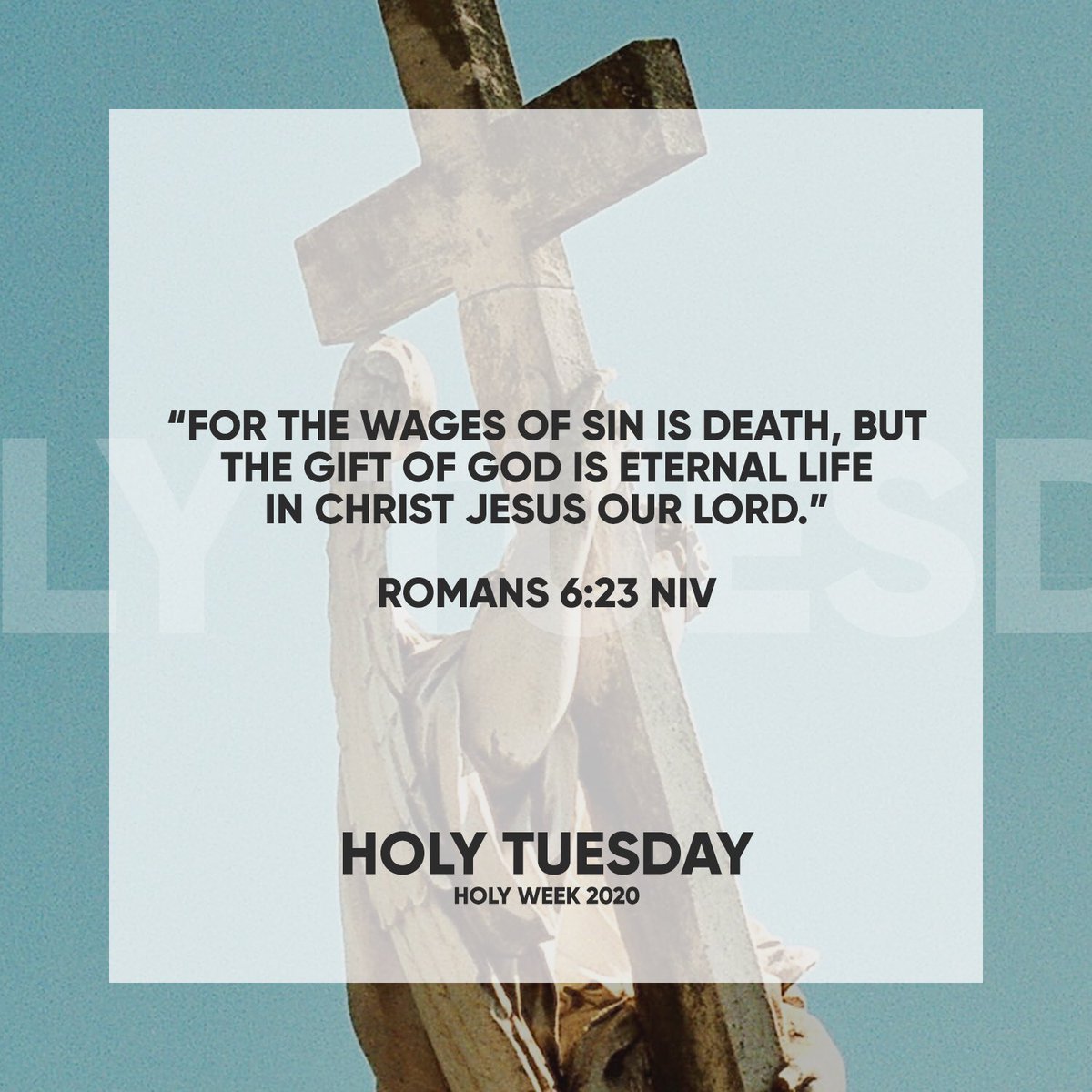 ★ #VCMCelebs ️ tweet media