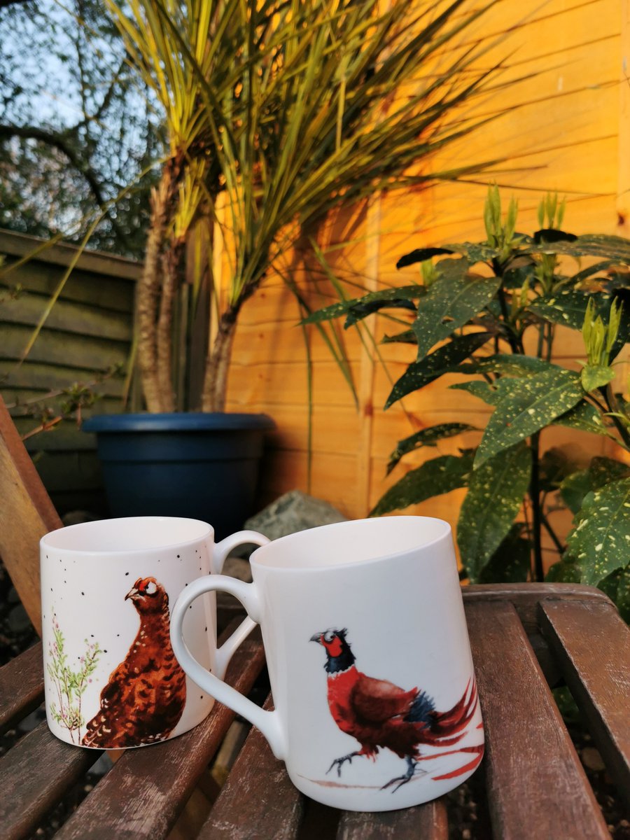 fisherchiller's tweet photo. In the current world of uncertainty there's comfort in the familiarity of the ordinary...a cup of tea in the early morning sun before the phone starts ringing &amp; the day starts in earnest.

#lockdownlife #workingfromhome #lifegoeson #chiller #forhire #business #nationwide https://t.co/rDxv8Kz2sY