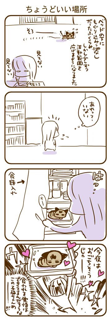 ちょうどいい漫画があった!
子猫時代のふーちゃん…。めちゃくちゃ探し回って見つけました。

TwitterかInstagramにこのタグをつけて投稿すると、22円が動物愛護事業に寄付されるそうです??

#かくれねこ選手権 