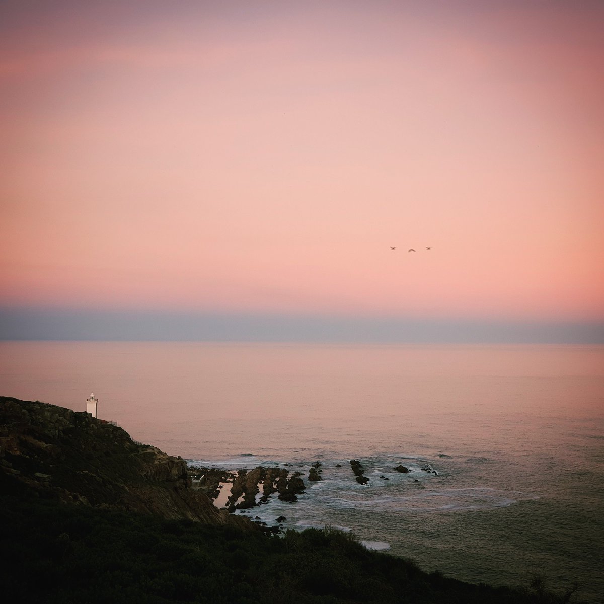 Klaus von Pressentin tweet media