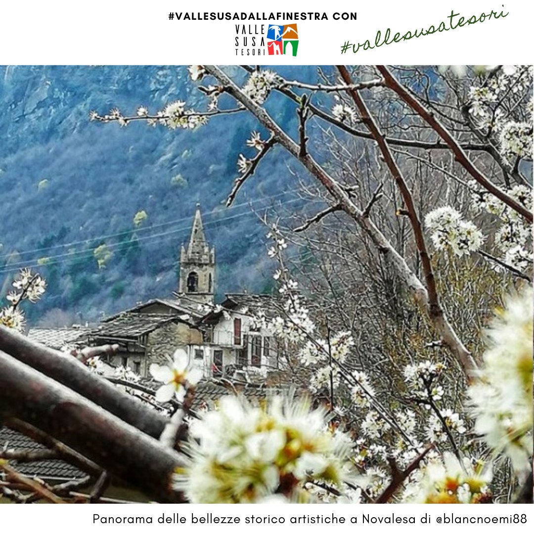 Valle di Susa Tesori tweet media