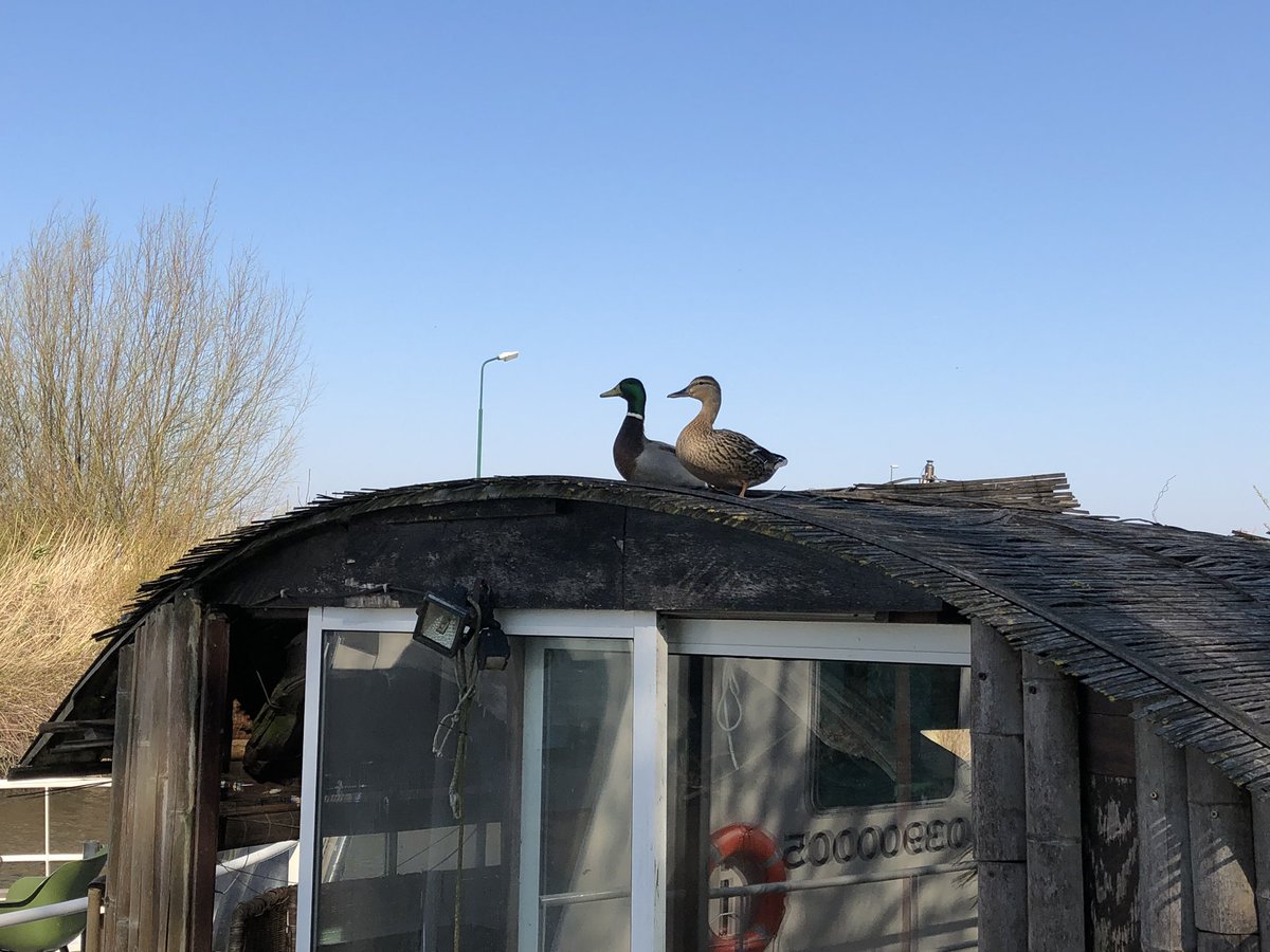 Jasper van Zon tweet media
