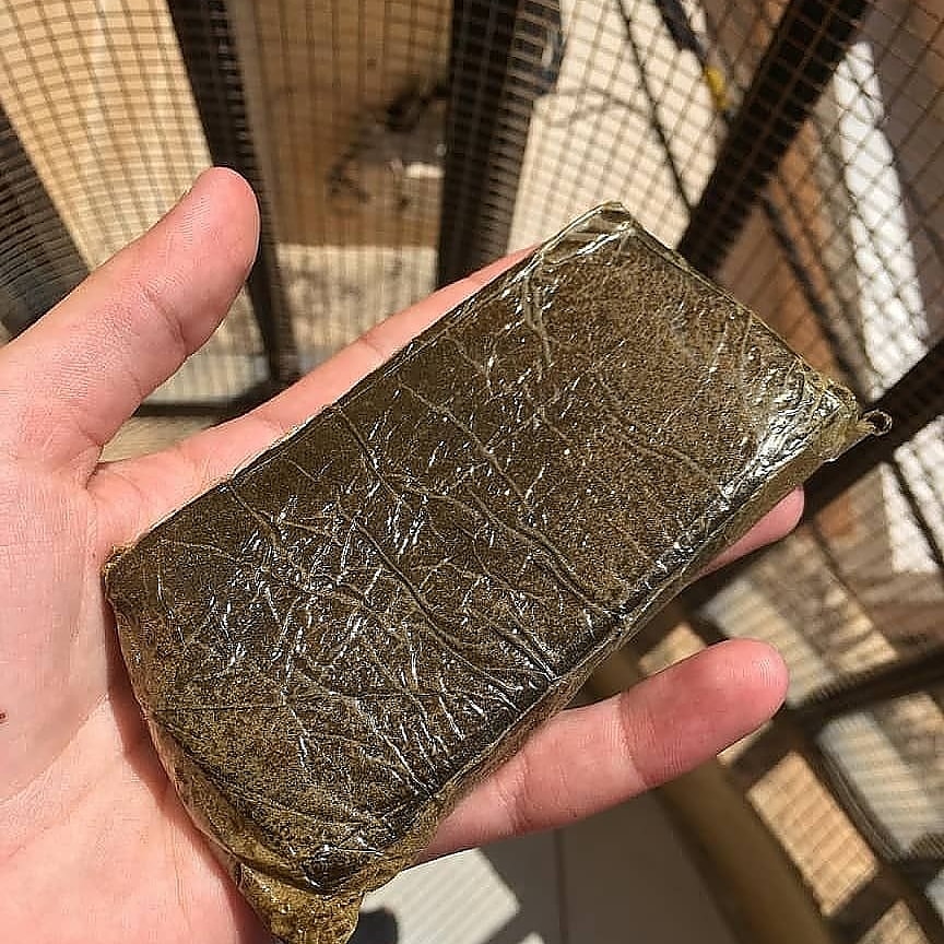 JacksonPlug1 tweet picture