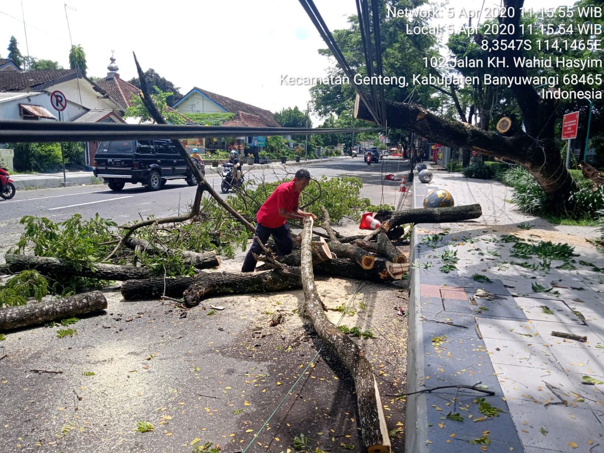 dinaspuckpp_bwi's tweet photo. Pohon tumbang di lokasi RTH Maron, Genteng, Banyuwangi, langsung dieksekusi oleh Tim UPTD Genteng @dinaspuckpp_bwi
#quickrespon
@AzwarAnas_A3
@bayuhadiyanto2
@KomangSudira4 https://t.co/RzKdMRnHnR