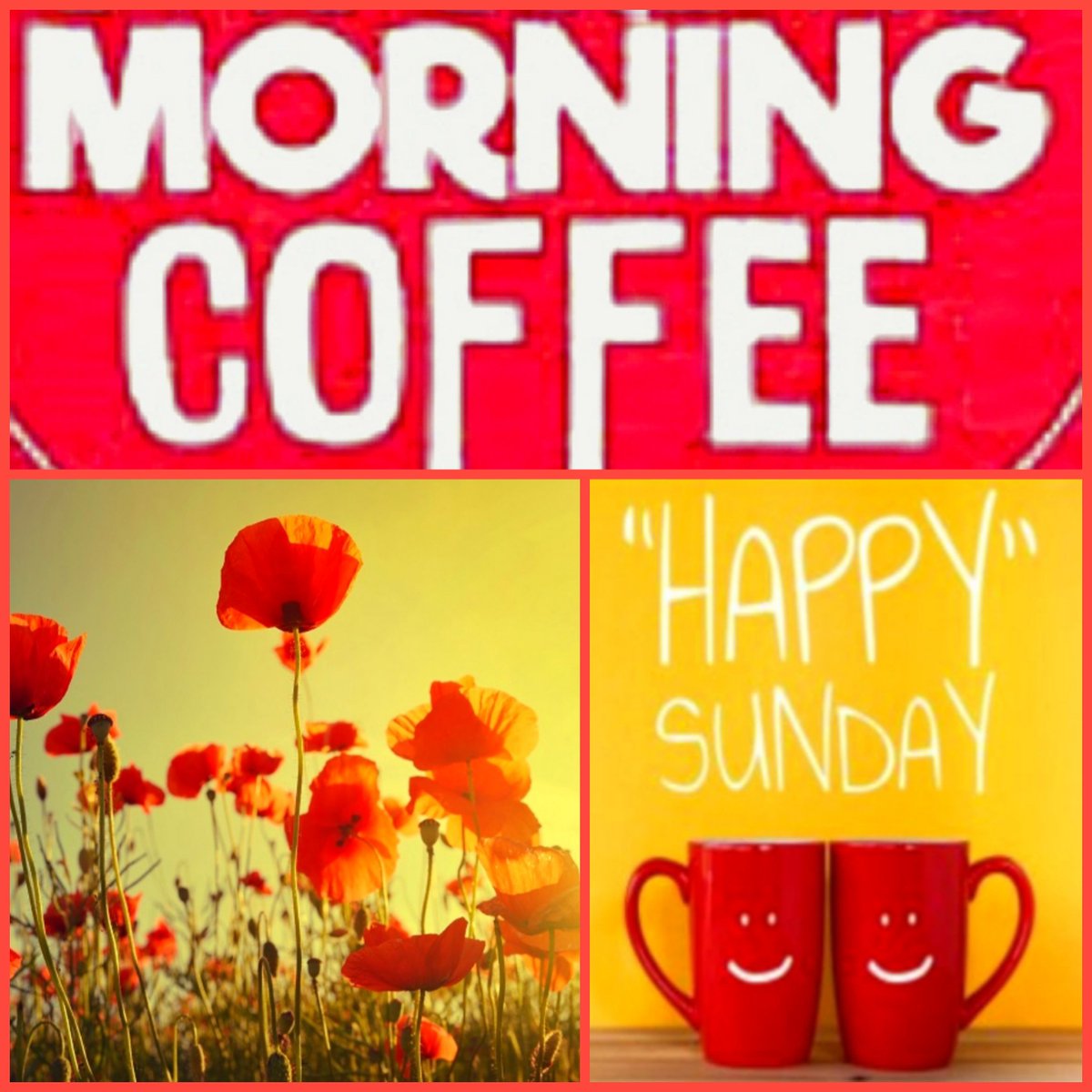 BBretegnier's tweet photo. Le soleil est là pour nous accompagner ce matin...😎
Bon #morningcoffee à toutes et tous et bon dimanche !🌻⚘😊
#HappySunday
#IloveWeekEnd ❤ https://t.co/hUaXgna95e