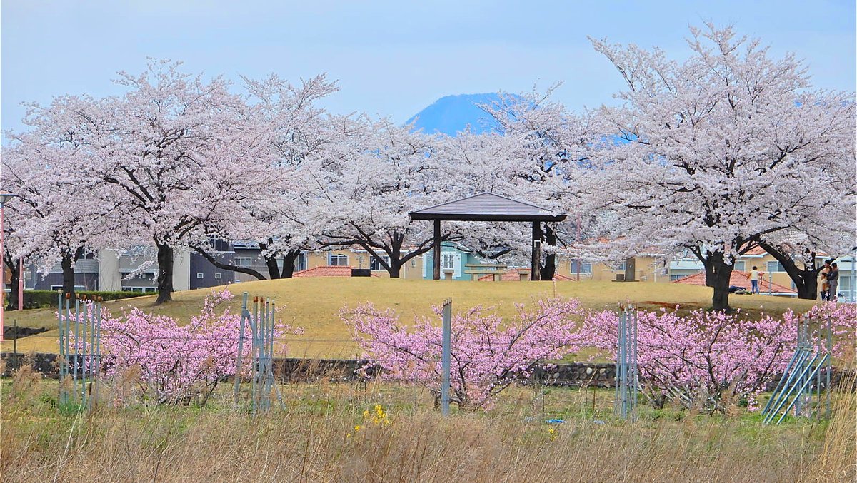datemasahiro tweet picture