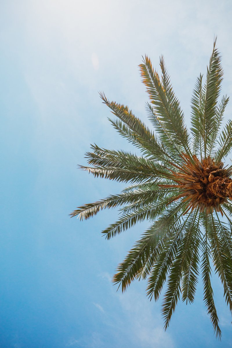 Sharing some smartphone wallpapers for everyone. RT kar do, will keep me busy.

01. Muscat, Oman