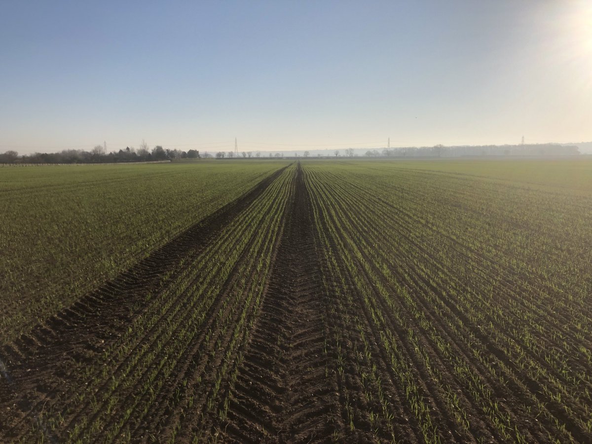 NickMar47827145's tweet photo. What a difference a month of good weather makes. https://t.co/OStmqrD07V
