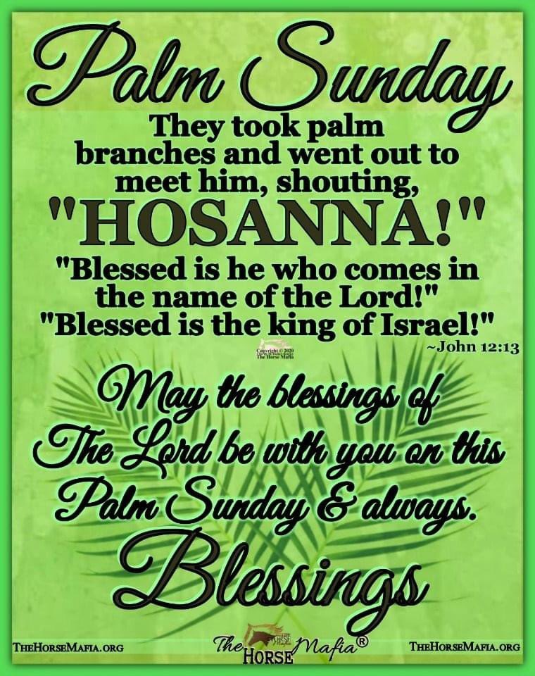 GITMO KAG2020 🇺🇸 tweet media