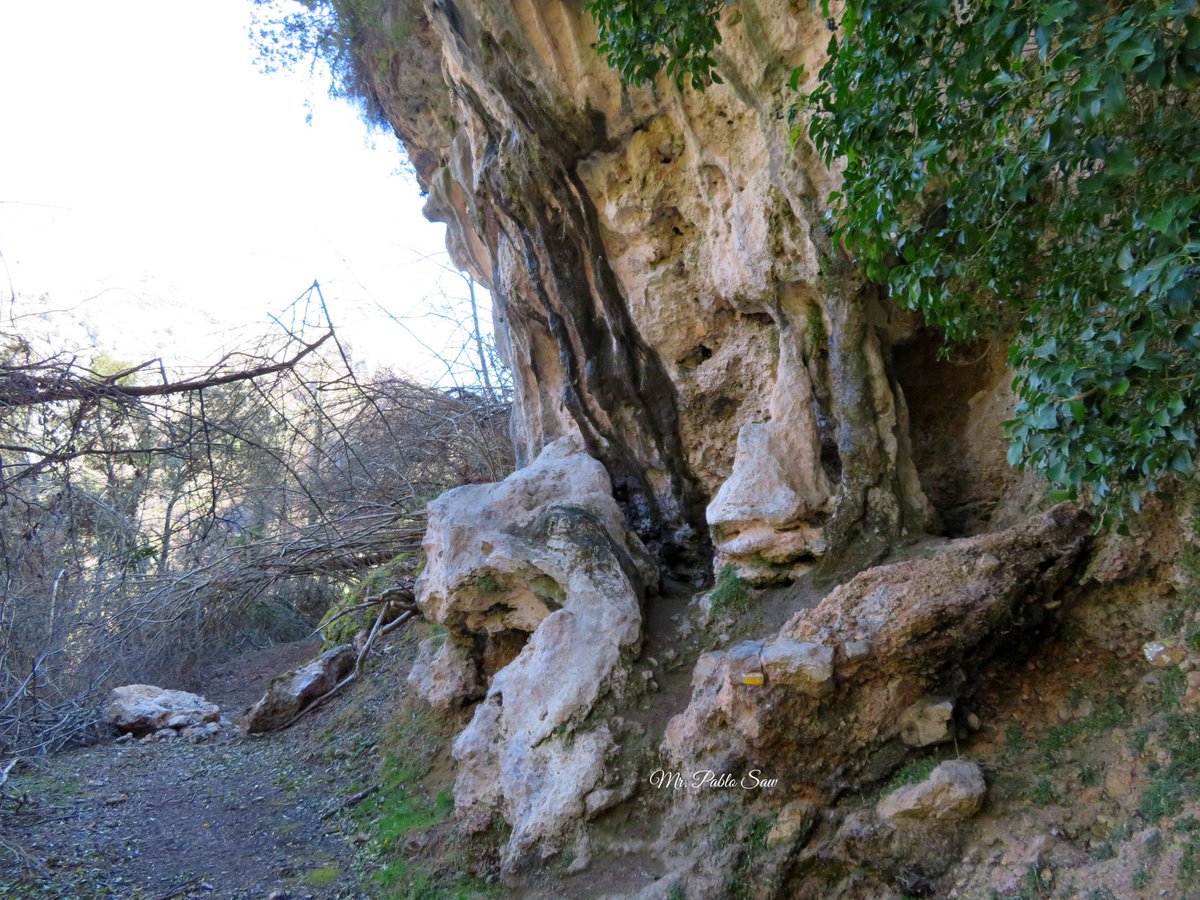 SawPablo's tweet photo. Cueva de la Malva, en Somiedo, Asturias. Aquí solían pernoctar los vaqueros del puerto en su nomadeo entre los pueblos de invierno cerca de la costa y las brañas de alta montaña en Somiedo. Ruta De Castro (PR-AS 13)
#somiedo #asturias #paraisonatural #senderismo #hiking #youtube https://t.co/ugtFBjzsFc