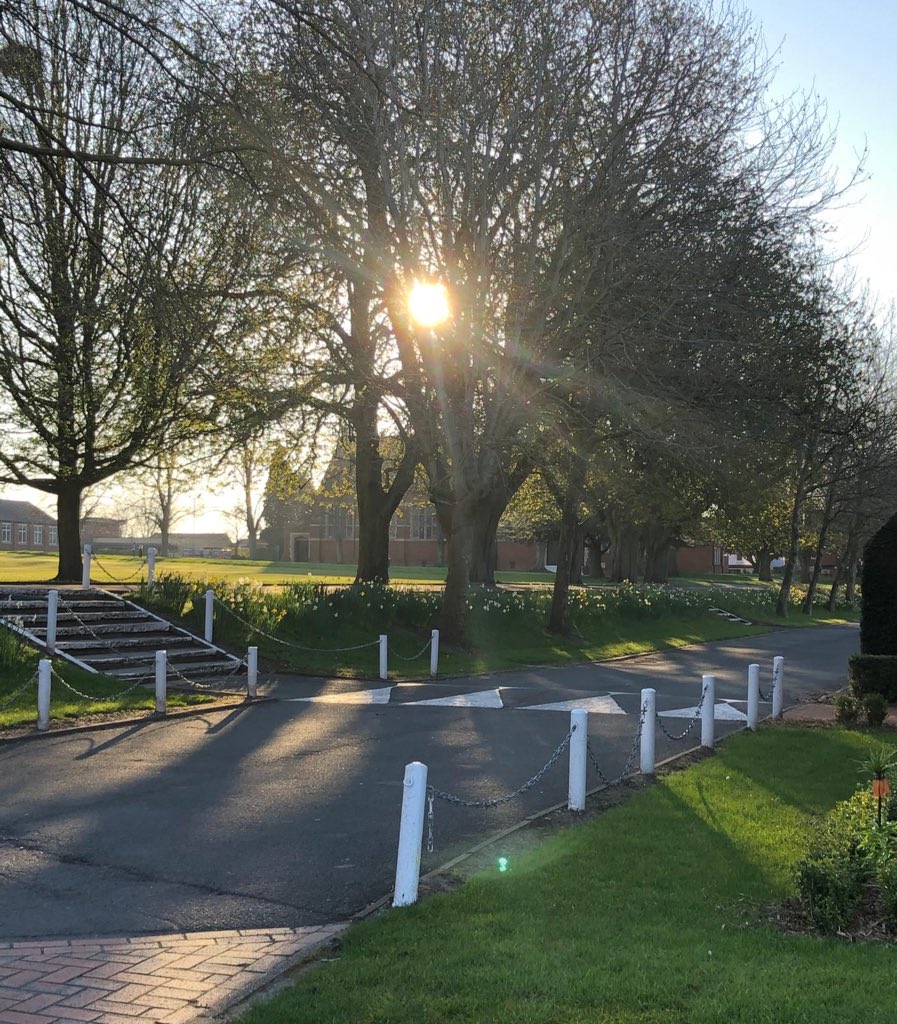 BromsSchool's tweet photo. We’ve woken up to a beautiful day at #BromsgroveSchool. One of our residential staff took an early morning stroll and captured these images. Why not explore your own garden today and see what you can uncover. #StayHomeSaveLives https://t.co/FcGe0Ivnju