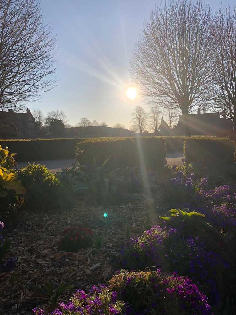 BromsSchool's tweet photo. We’ve woken up to a beautiful day at #BromsgroveSchool. One of our residential staff took an early morning stroll and captured these images. Why not explore your own garden today and see what you can uncover. #StayHomeSaveLives https://t.co/FcGe0Ivnju