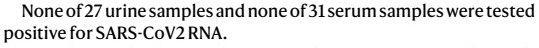 Related, no virus was detected at all from urine and serum samples. Important implications for lab safety (i.e. those specimens are safe to handle)