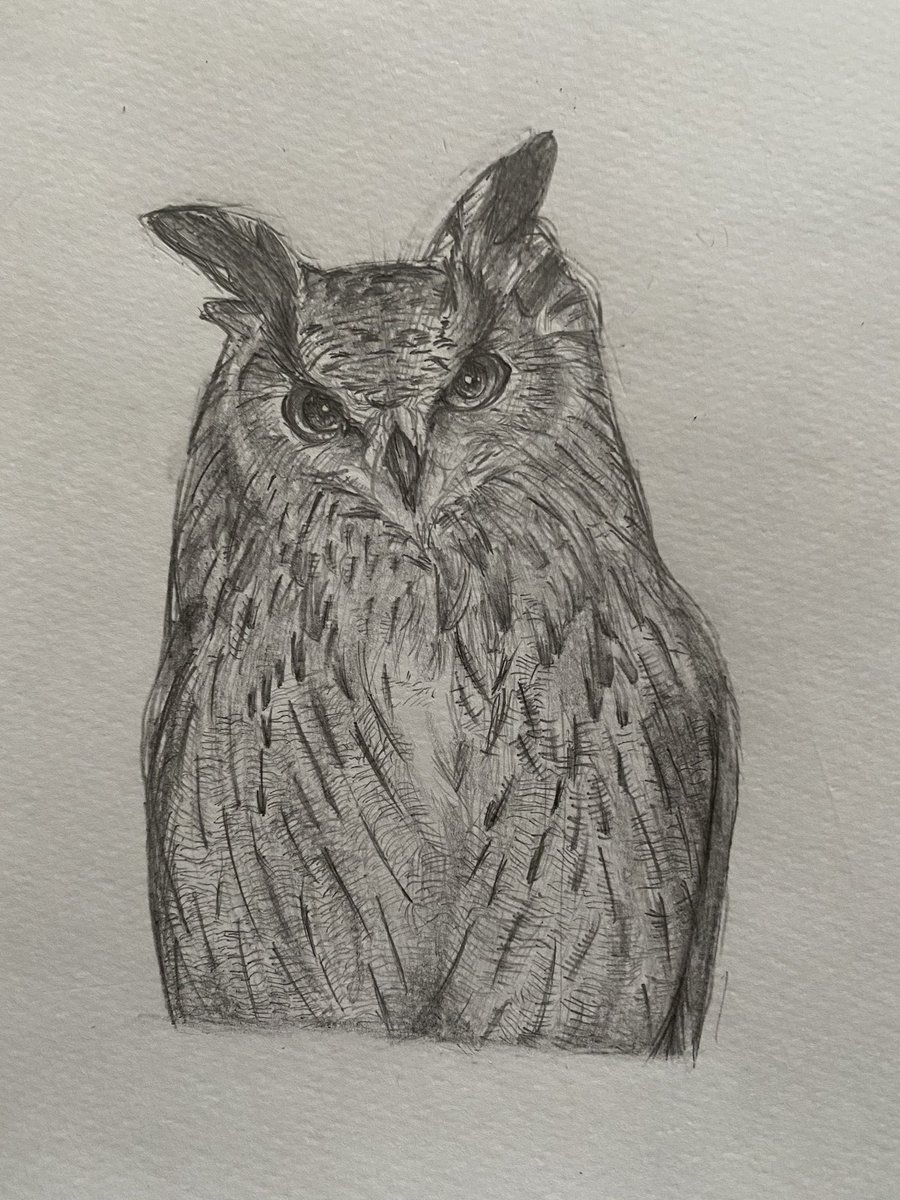 鉛筆画 レシラムの色塗りの合間に描きました 鳥図鑑見てたらあまりにもかわゆい うどんこの漫画