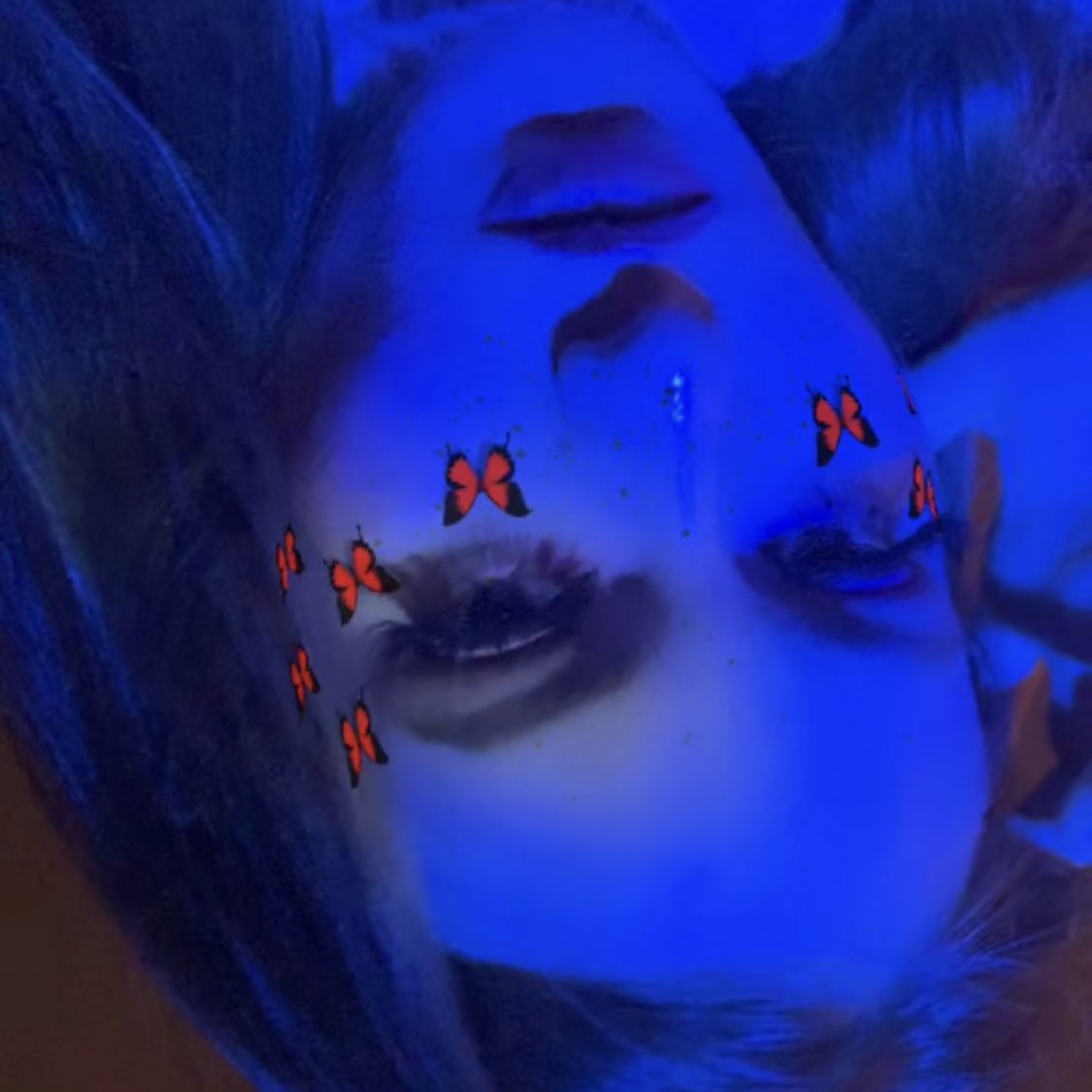 1111x0000's tweet photo. 🦋 https://t.co/55dOmMtALg