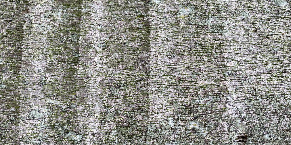 We've added 1 image to our Natural Textures set at Shutterstock, see it here: rebrand.ly/sls8v0 #stockimage #shutterstock #naturaltexture