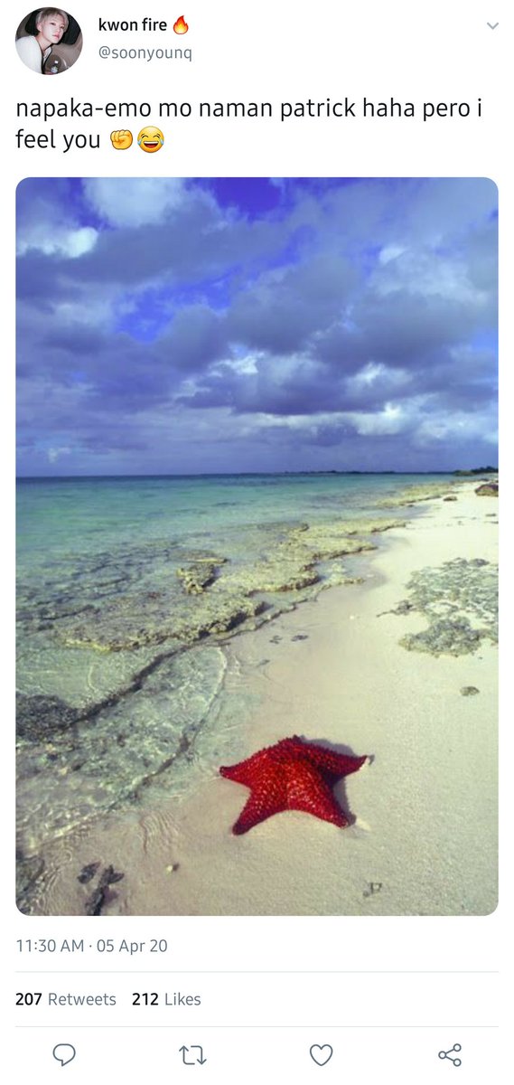 Media image