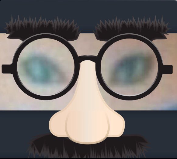 Heidi Paterson tweet media