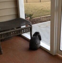 Watch ۶ৎ 𝒶𝓂𝑜𝓊𝓇 ۶ৎ's leaked NSFW photo on TwXstars