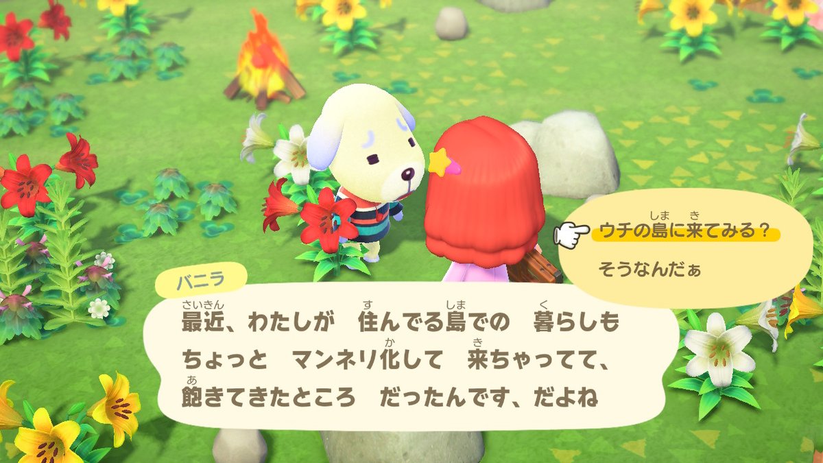 八雲 No Twitter オオカミの住人欲しいけどバニラ可愛いし悩ましいな どうぶつの森 Animalcrossing Acnh Nintendoswitch