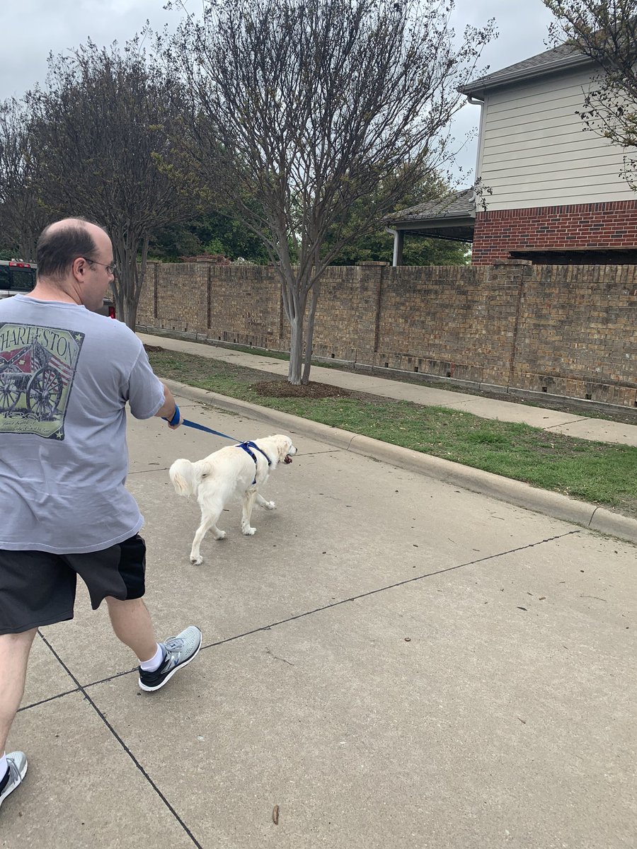 HappyEverTeach's tweet image. Day four of #12daysofeLearning was April 2. I go on daily walks with my husband and our puppy. We try to go during our lunch break to get out of our new office. #somethingforme