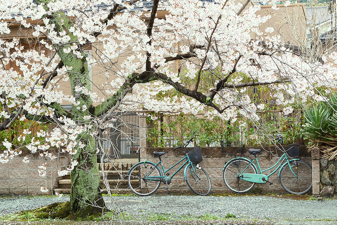 K Sharad Haksar tweet media