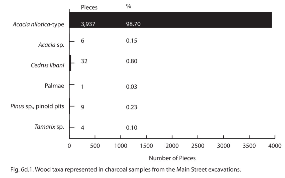 In the Old Kingdom, wood charcoal analysis by Rainer Gerisch determined that Acacia nilotica (Nile acacia) was the most commonly used. This analysis was from the Giza, excavated by  @AERA_EGYPT