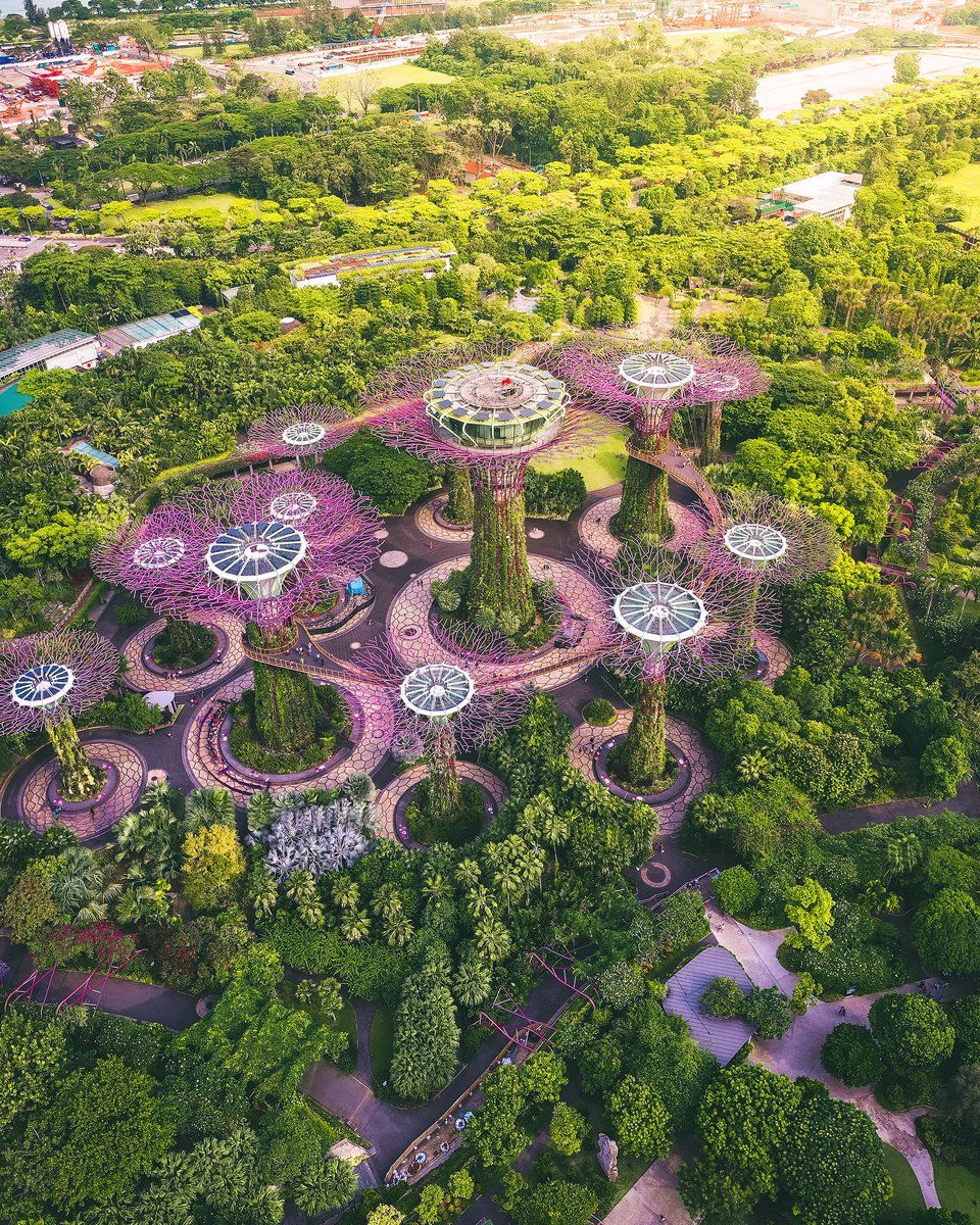 #Announcement In line with the stricter measures announced by the Government on 3 April, our enclosed attractions, OCBC Skyway & our F&B establishments, will be closed from 7 April to 4 May 2020. The outdoor gardens remain open. #FlowersNeverStopBlooming 📸 @kevouthere