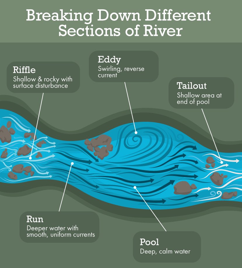 Illustration of river flow parts. Riffle is “shallow and rocky with surface disturbance” at beginning. Eddys are little vortexes off to side in middle. Tail out is fast shallow end. Could no identify source. It’s all over google images.