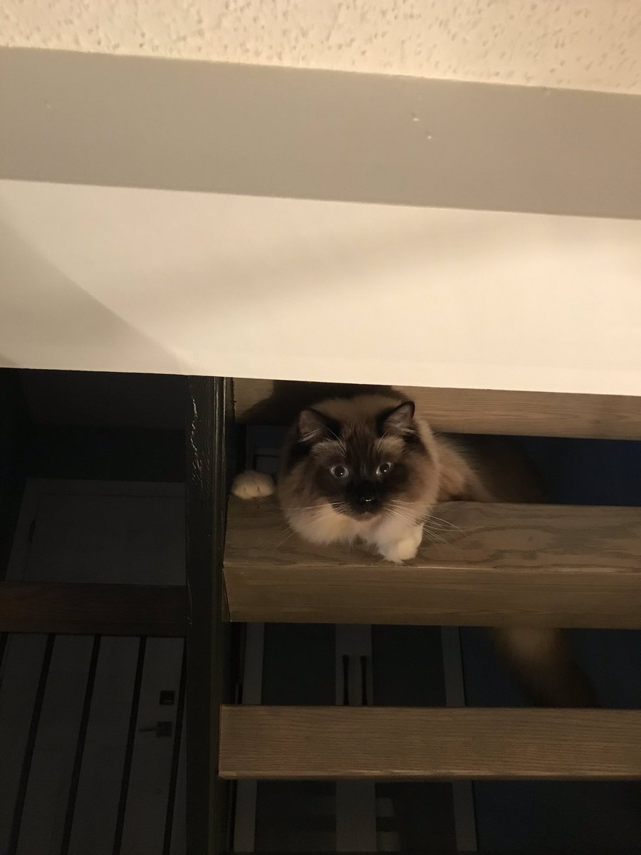 schupie79's tweet photo. Being creeped in isolation. https://t.co/y8x2STjxPW