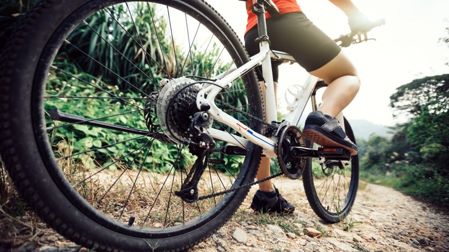 1NewsNZ's tweet photo. Person hospitalised after falling off mountain bike in Wellington https://t.co/YIs9R4hnDV https://t.co/JlBl2TruXA