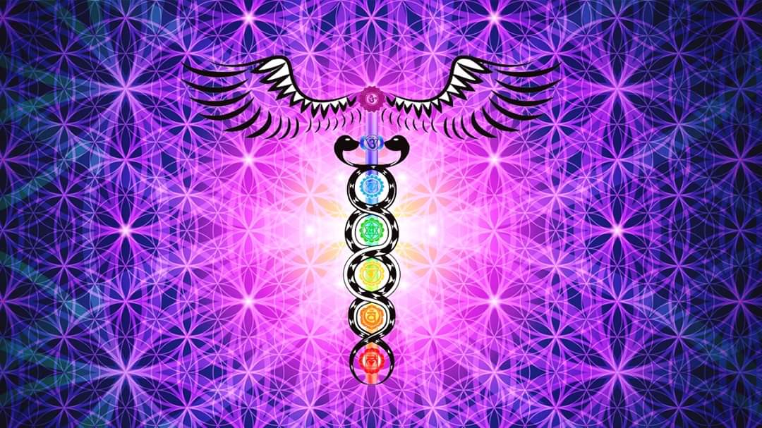 Nirvanahealings's tweet photo. https://t.co/vCHUE3e2qi
#reiki #reikihealer #reikihealing #healing #spiritualhealing #reikipractitioner #reikimaster #reikienergy #reikilearning #reikigrandmaster #reikiteacher #reikiteachings #reikimaster #reikilife #usuireiki #reiki1 #reikicharged #reiki2 #reikitraining #reiki3 https://t.co/b4Urh7hMgy