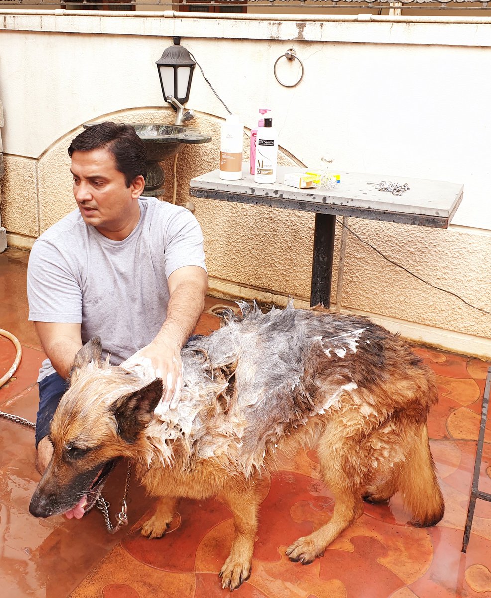 dbmahadik's tweet image. Our sunday ritual: Dog spa
#pets #petlovers #petsfriendly @dogspa