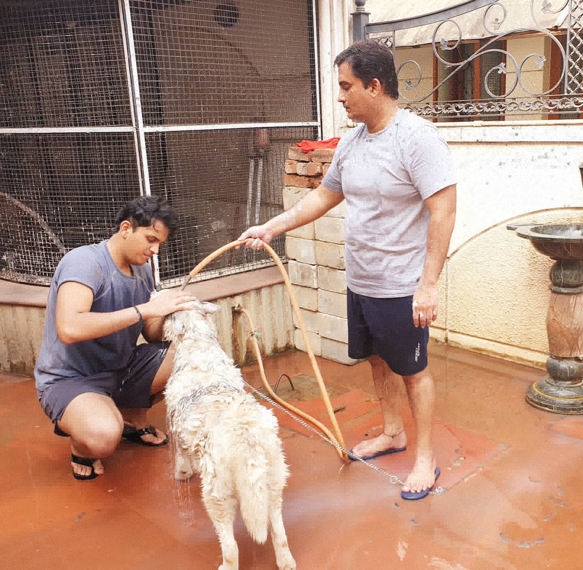 dbmahadik's tweet image. Our sunday ritual: Dog spa
#pets #petlovers #petsfriendly @dogspa
