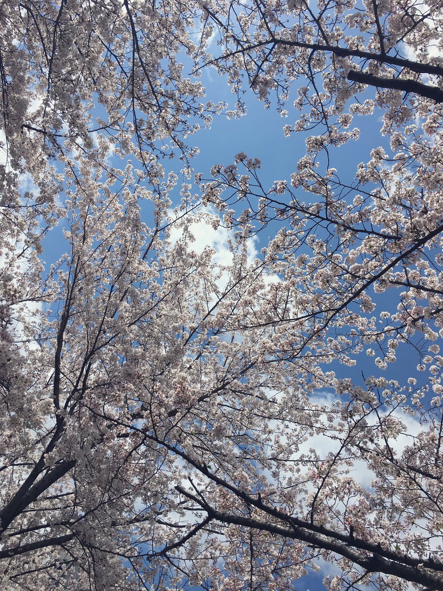 エモちゃん tweet media