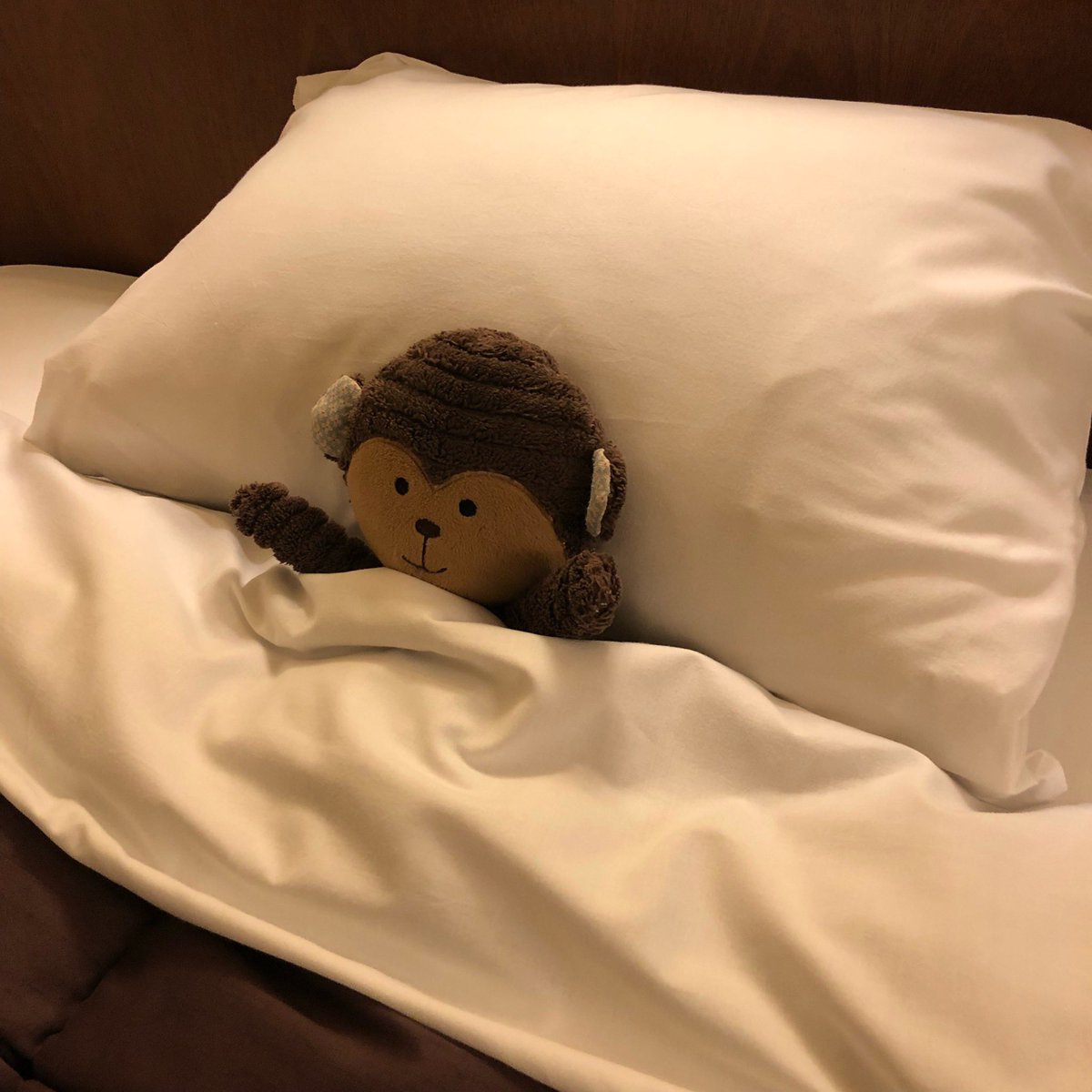 オポ Yj4uddgrktpxnsz Twitter