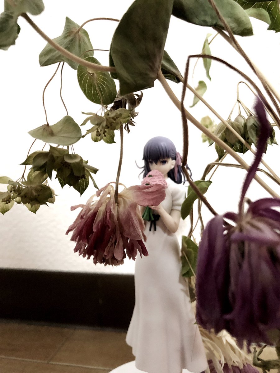 Twoucan 枯れた花 の注目ツイート モデル