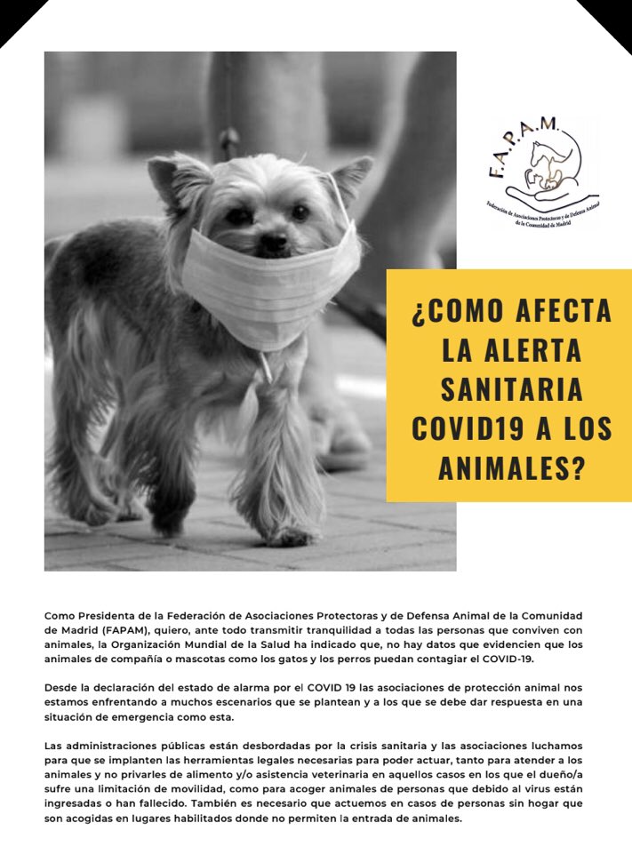 intelsegglobal's tweet photo. Muchos trabajadores que les ha afectado esta situacion del coronavirus, #farmaceuticas #funerarias #supermercados padres/madres de familia #transportistas #criminologos #protectorasanimales #nuestrospekes nos cuentan su experiencia con el #coronavirus. https://t.co/g6O9ESrOC8