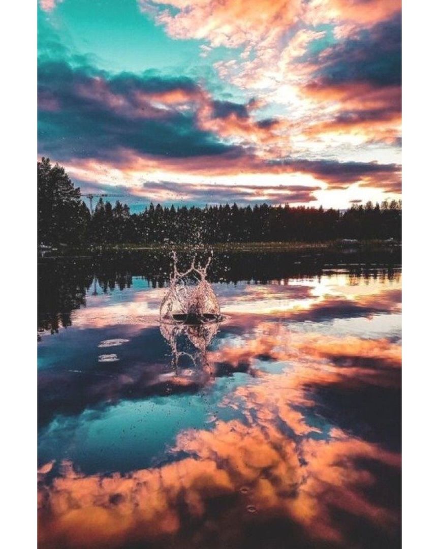 GiftBoutiqueArt's tweet photo. #beautiful #surprisinganimals #love #followme #nature #follow #Universe #mood #happy #friends #instagood #follow4follow #forestembroidery #impressionismart #embroiderynature #mysticpicture #easyembroidery #botanicalembroidery #surrealistic #landscapeembroidery https://t.co/L4zmwR5me7