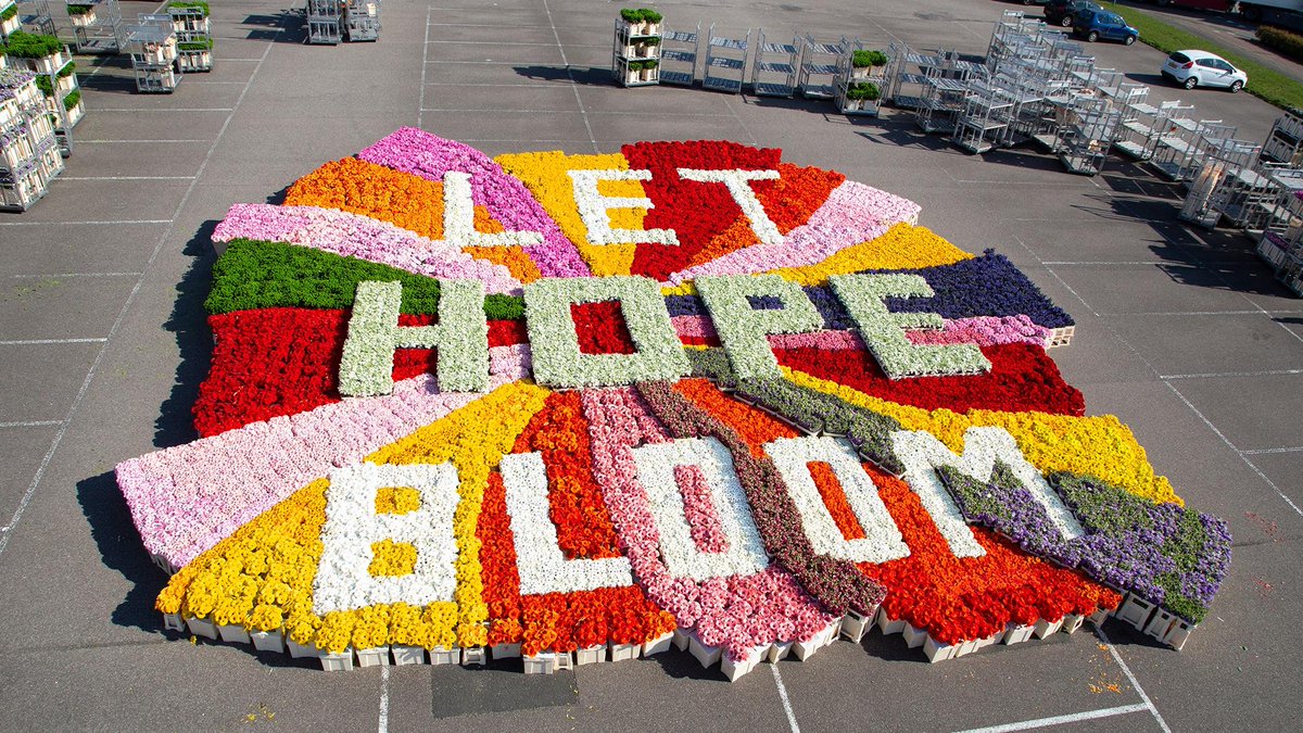 SyngentaFlowers's tweet photo. Dutch rapper Ali B and the floriculture sector will be bringing flowers to around 150,000 elderly people in Dutch nursing homes on Good Friday. Syngenta Flowers is proud partner of this colourful industry initiative! 
#lethopebloom #flowersfeedthesoul
https://t.co/WiMdXcz4ea https://t.co/OBckY5WhC0