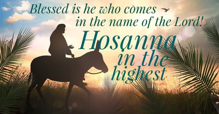 dailybread111's tweet photo. Blessed is he who comes in the name of the Lord! Hosanna in the highest!

Praise the LORD #Jesus Christ always https://t.co/hqyjXhGdzk