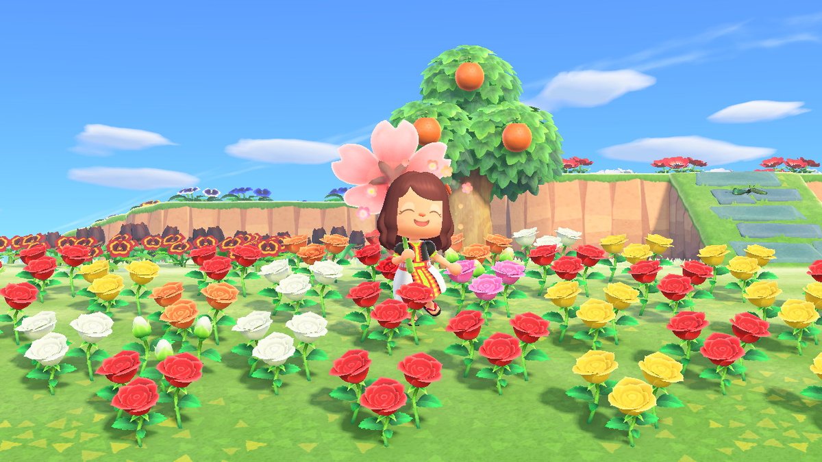 fangbosseu's tweet photo. Designed #hmong clothes and needed to do a mtt photoshoot!!! #AnimalCrossing #ACNH #NintendoSwitch #hmongclothes https://t.co/1XqdGLlFvl