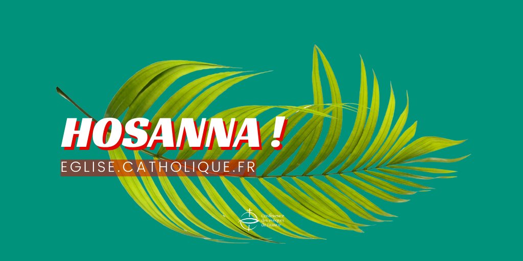 Eglisecatho's tweet image. Nous entrons dans la #SemaineSainte, cœur de la foi chrétienne.
🌿Qu'est-ce que le Dimanche des #Rameaux que nous fêtons aujourd'hui ? ►bit.ly/EntreeMessiani…

🔴Suivre une messe en direct
►bit.ly/DirectRameaux