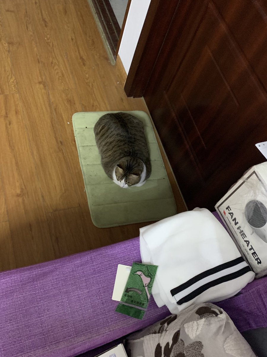 wze's tweet photo. 你是拖把ㄇ？😹 https://t.co/VtMMeJ5J3d