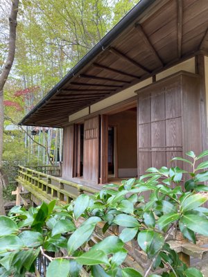 wasalon1's tweet photo. お茶室まわり を投稿しました。 #エキサイトブログ
https://t.co/JpC9FWd3Us https://t.co/EZ8wsQjIGT